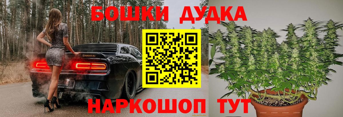Бошки Шишки сатива Кингисепп